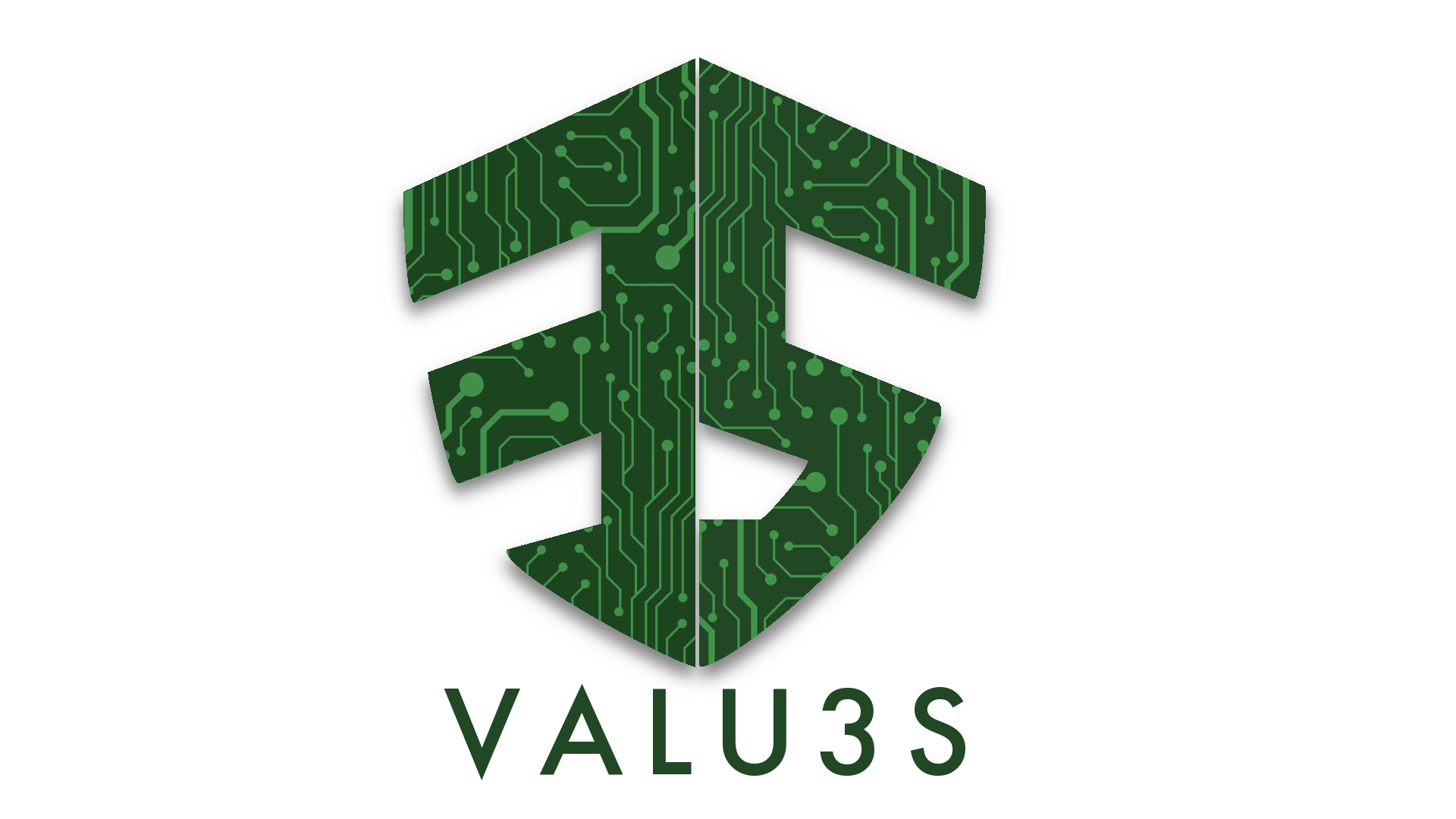 VALU3S logo